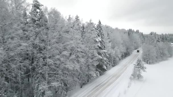 Carretera Nevada Vista Superior Del Bosque Paisaje Invernal Día Nevado — Vídeo de stock