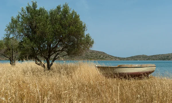 Рыбацкая лодка на средиземноморском берегу возле оливкового дерева Стоковая Картинка