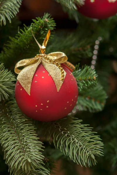 Closeup Red Bauble Hanging Decorated Christmas Tree Stock Picture