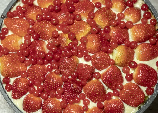 Macro Shot Berry Cake — Stock Photo, Image