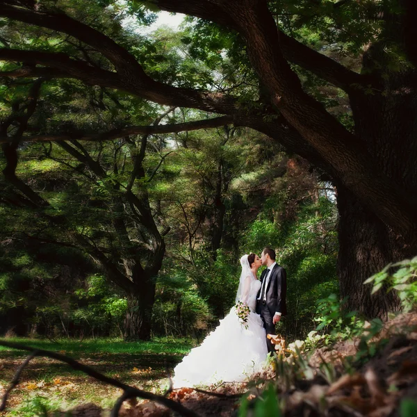 Gelin ve damat parkta öpüşme