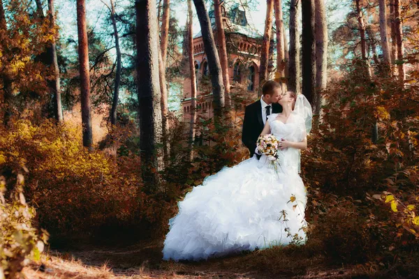 Gelin ve damat Park'ta poz