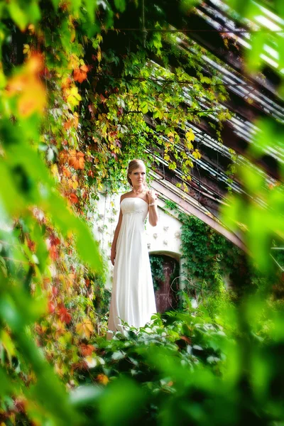 Schöne lächelnde Braut aus nächster Nähe — Stockfoto
