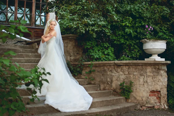 Bella sposa in un abito da sposa bianco — Foto Stock