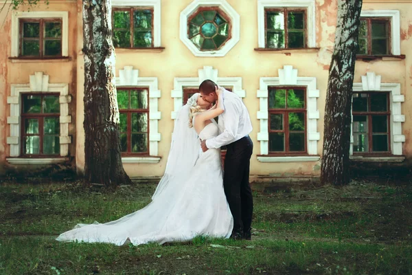 Beautiful wedding couple — Stock Photo, Image