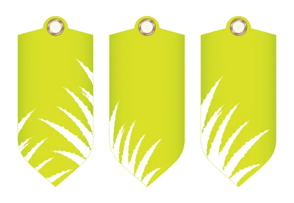 Aloe vera tasarımı ile özel fiyat etiketi — Stok Vektör
