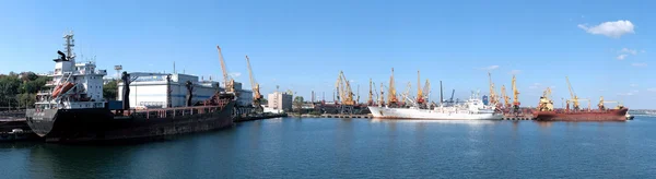 odessa Liman Panoraması. Ukrayna.