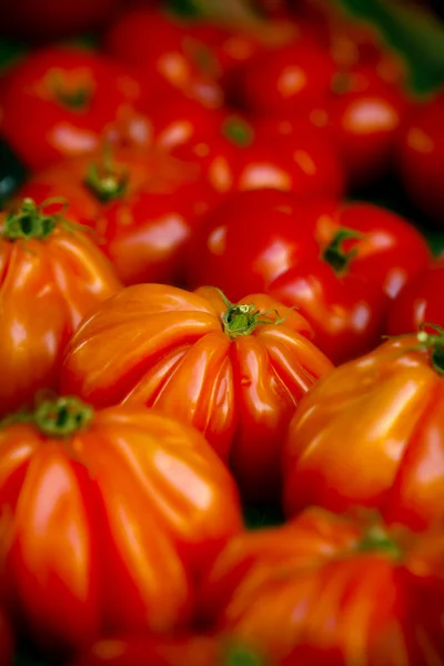 Tomates de bife — Fotografia de Stock