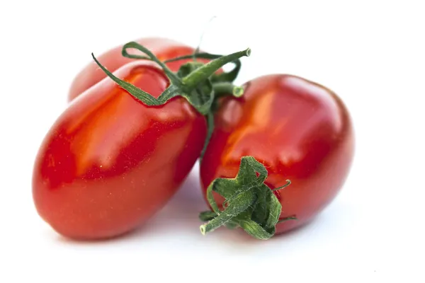 Tomaten — Stockfoto