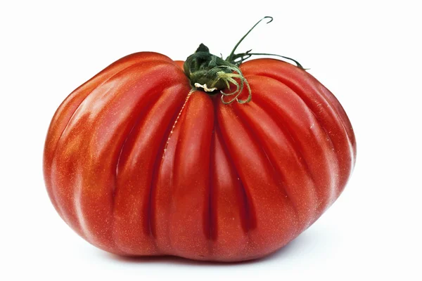 Fleischtomaten — Stockfoto