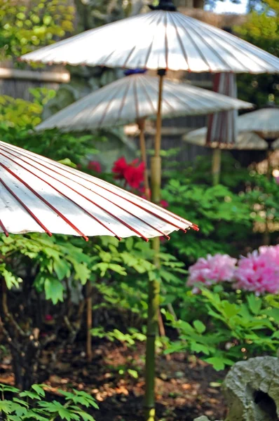 Japanese Flower Stock Photo