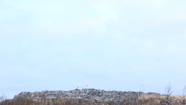 Garbage dump. Large garbage dump. — Stock Video
