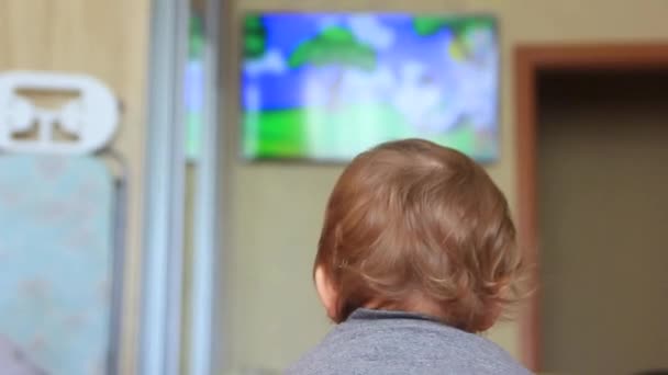 Мальчик смотрит телевизор, вид сзади — стоковое видео