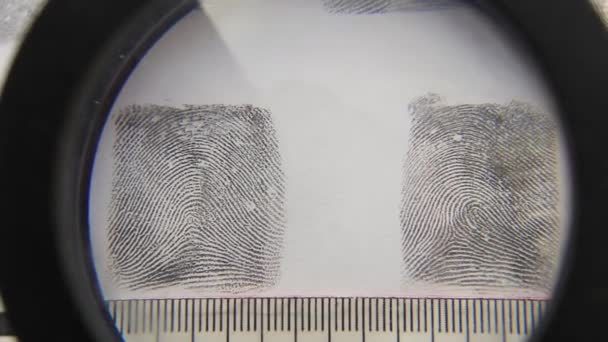 通过法医放大镜获得的特写指纹 — 图库视频影像