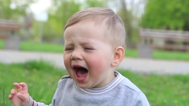 Child Screams Park Nature Close — Wideo stockowe