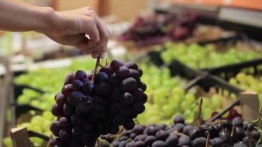 Female hands choose grapes in a supermarket close-up.