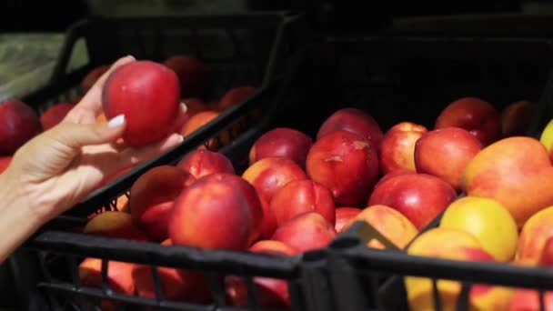 Womens Hands Choose Peaches Supermarket — Vídeo de Stock