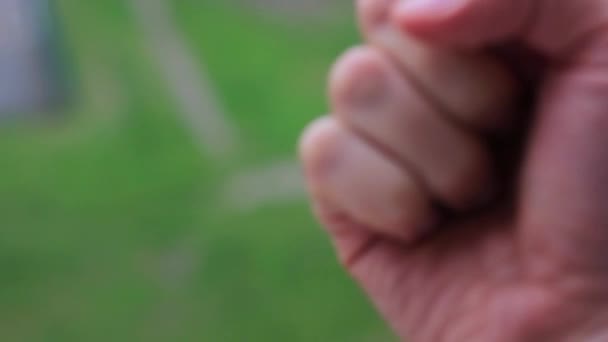 Handens Långfinger Närbild Förolämpning — Stockvideo