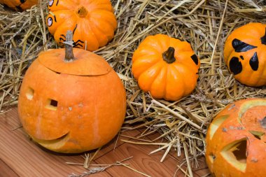 Cadılar Bayramı balkabakları duvarda. Sonbahar tatili için Cadılar Bayramı dekoru