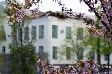 Ukrayna 'daki savaş sırasında yaşanan yıkım. Chernihiv şehri yok edildi. Rus saldırganlığı ve düşmanlıktan sonra devletin yeniden kurulması kavramı..