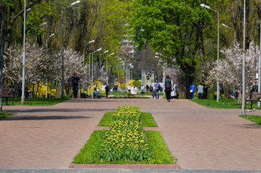 3 Haziran 2022, Chernihiv, Ukrayna: Şehir çatışmalardan sonra toparlanıyor. İnsanlar ilkbaharda şehir merkezindeki parkta yürürler..