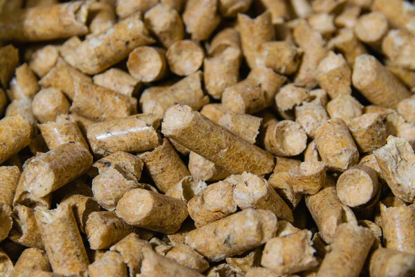 Yaratığın görünüşü için hatırlatıcı, ahşap topaklar, yakın plan uzay kopyası.