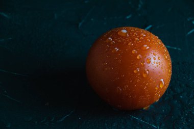 Büyük su damlaları olan kırmızı domates, yakın plan, fotokopi alanı ile koyu arkaplan