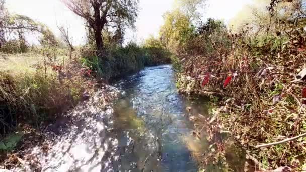 강둑을 흐르는 — 비디오