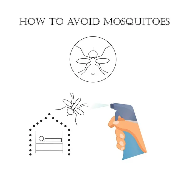 Cómo Evitar Las Picaduras Mosquitos Mantenerte Salvo — Vector de stock