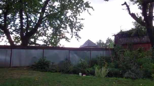 Сад Під Дощем Концепція Літнього Дощу — стокове відео