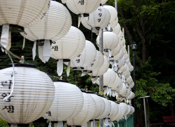 Lanterne decorative del tempio . — Foto Stock