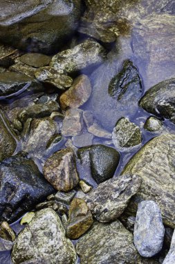 ıslak kayaların kategorisi.