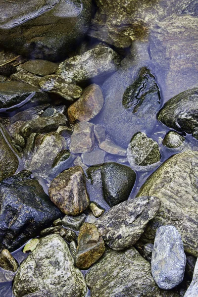 Mokrý skály v řečišti. — Stock fotografie