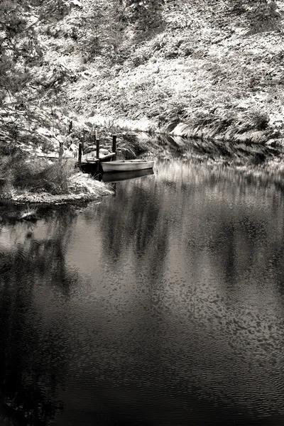 B&w από μικρή λιμνούλα. — Φωτογραφία Αρχείου