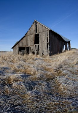 ahırını palouse üzerinde çalıştırmak.