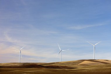Rüzgar türbinleri palouse üzerinde.