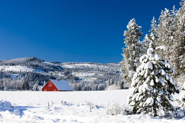 Widok stodoły w zimie. — Zdjęcie stockowe
