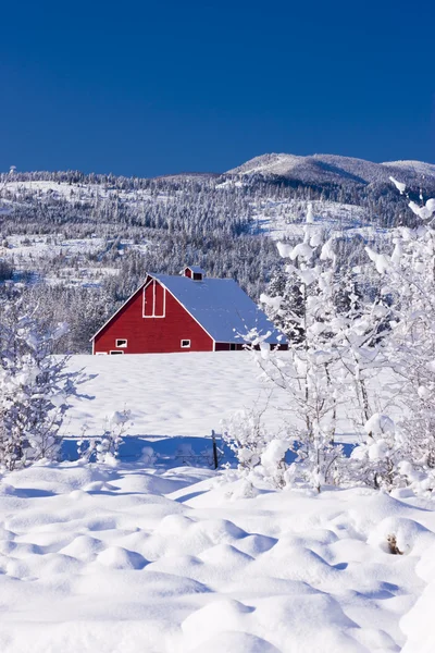 Röd lada i bakgrunden. — Stockfoto