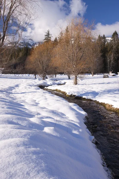 Flusso in inverno . — Foto Stock