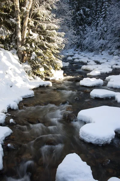 Flusso di montagna in inverno. — Foto Stock