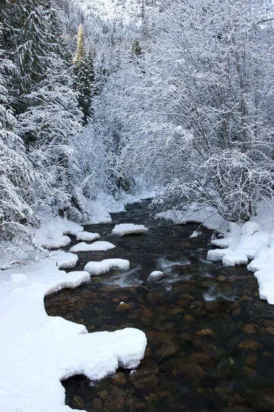 白雪皑皑的山间溪流. — 图库照片