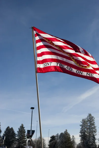 Bandiera pro-americana al raduno . — Foto Stock