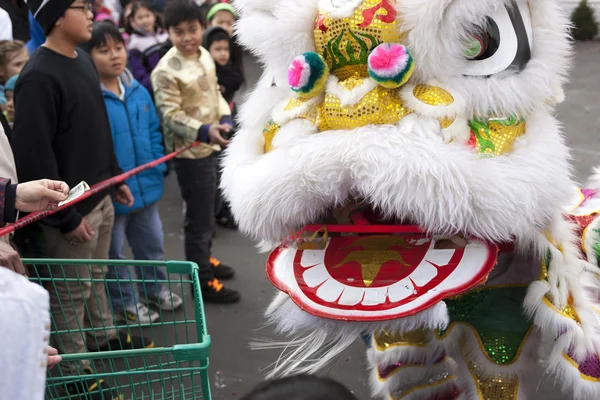 Gros plan du lion chinois . — Photo