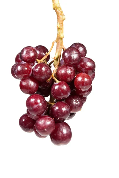 Bunch of red grapes. — Stock Photo, Image