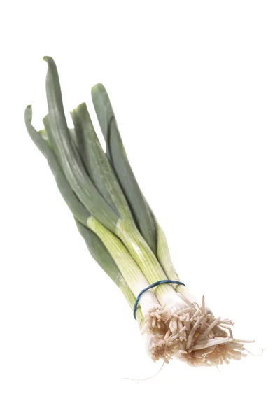 Bundle of green onions. — Stock Photo, Image