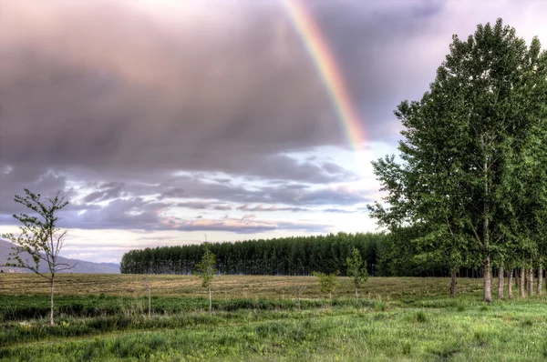 Paisaje rural con arco iris . —  Fotos de Stock