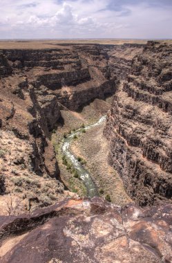 Nehirde bruneau Kanyon Idaho.