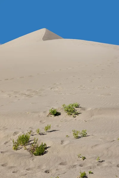 Песчаные дюны и яркое голубое небо . — стоковое фото