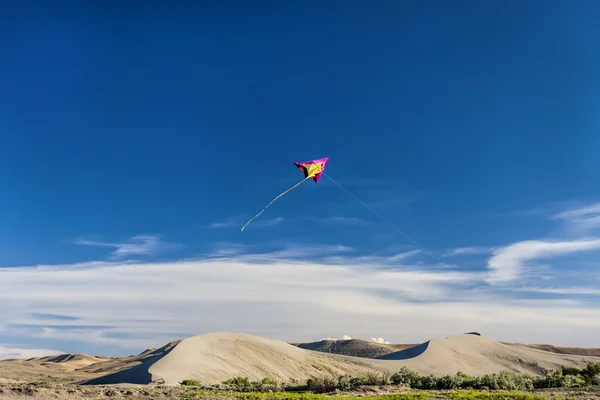 Slies kite κοντά bruneau αμμόλοφους. — Φωτογραφία Αρχείου