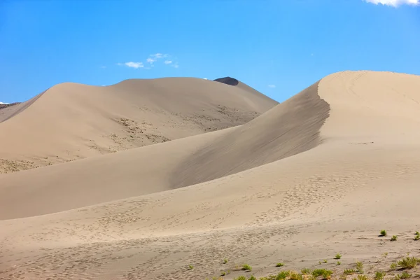 Los picos de dunas en las dunas de Bruneau . — Foto de Stock